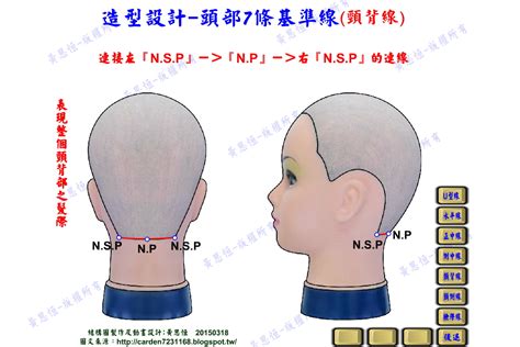 頭部七條基準線中，側頭線是|髮型設計系列:15個基準點及7條主分區線的位置與作用。